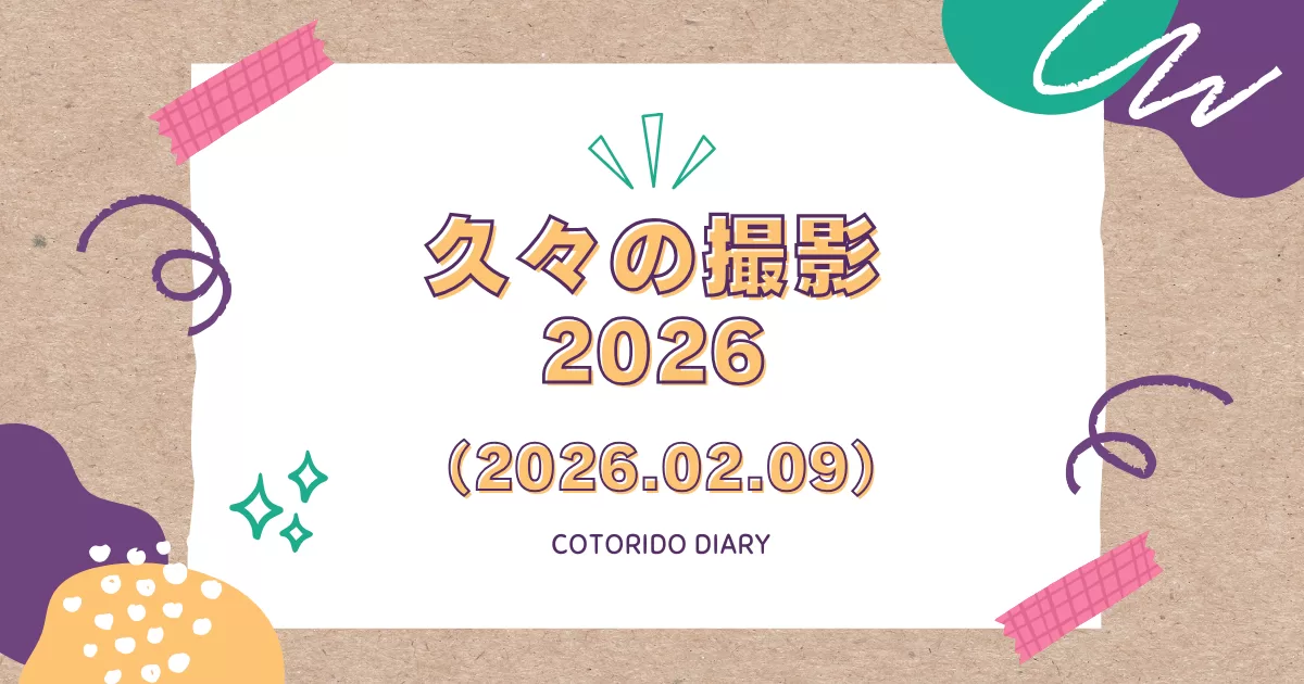 今日もにぎやかなコトリ堂